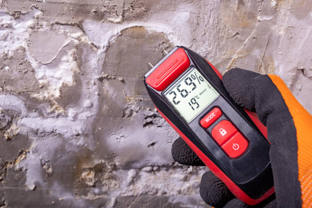 Best Fast Mold Removal  in Fort Carson, CO