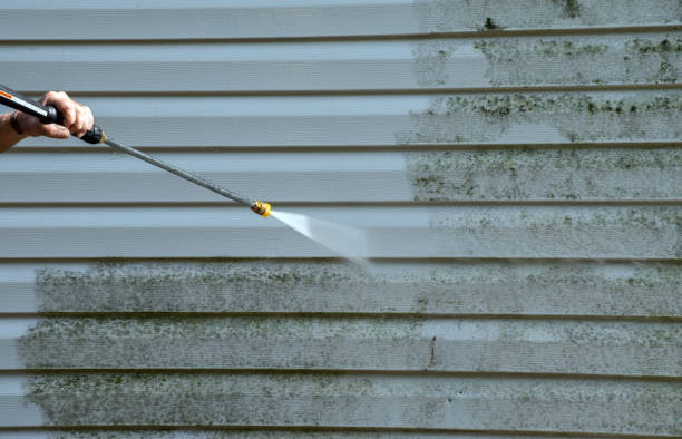 Best Mold Damage Repair  in Fort Carson, CO