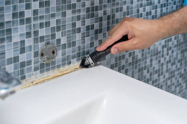 Best Mold Cleaning Services  in Fort Carson, CO