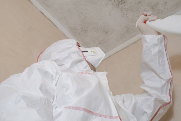 Best Residential Mold Removal  in Fort Carson, CO
