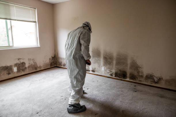 Best Mold Testing  in Fort Carson, CO
