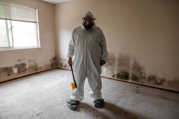 Fort Carson, CO Mold Removal Company