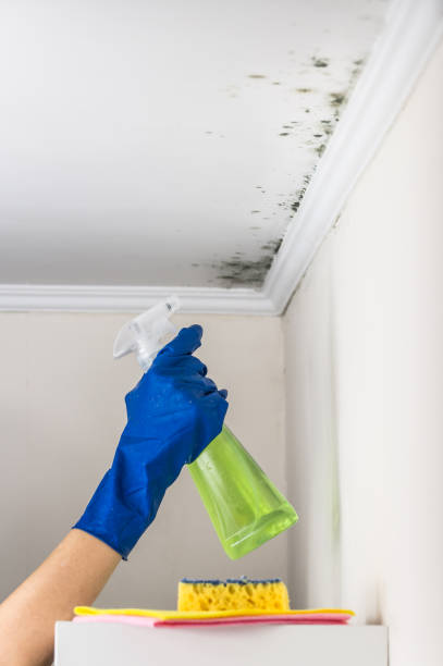 Best Mold Testing  in Fort Carson, CO